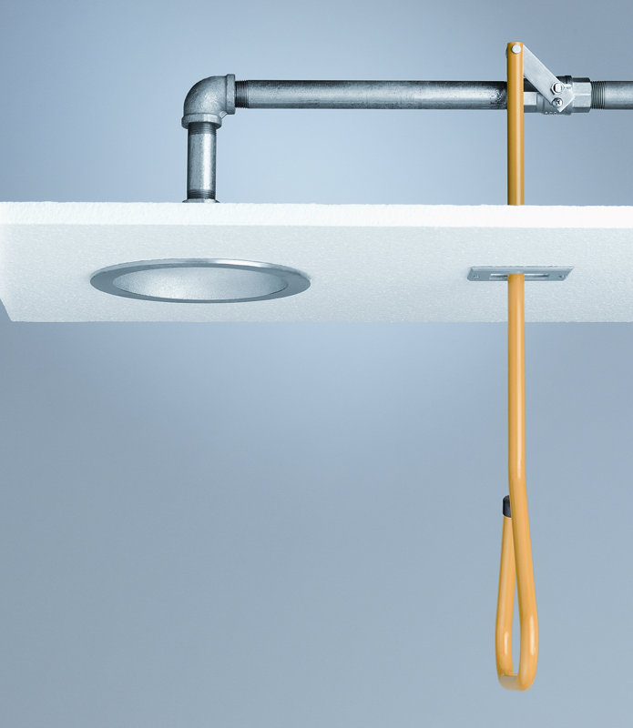 Speakman Lifesaver Emergency Shower & Reviews Wayfair