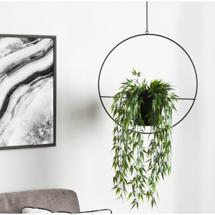 Hanging Planters You Ll Love Wayfair Isai Hoop Metal Hanging Planter