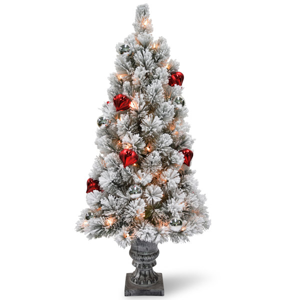 the holiday aisle snowy bristle tabletop 2 whitegreen pine trees artificial christmas tree with 35 led clearwhite lights reviews wayfair - Battery Operated Christmas Tree the holiday aisle snowy bristle tabletop 2 whitegreen pine trees artificial christmas tree with 35 led clearwhite lights reviews wayfair - Battery Operated Christmas Tree
