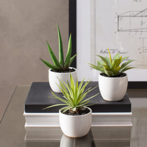 Aldorough 3 Piece Faux Southwest Succulent Set