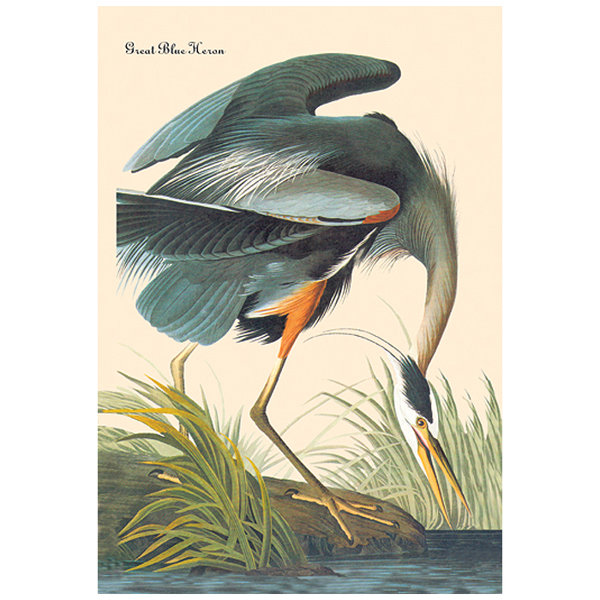 Buyenlarge Great Blue Heron by John James Audubon Graphic Art on