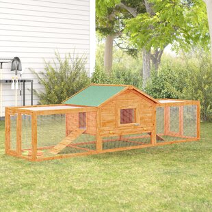 Walk In Chicken Run Wayfair