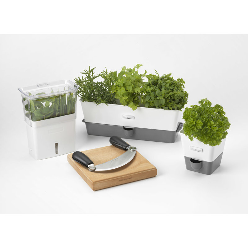 Cole Mason Indoor Herb Garden Self Watering Carbon Steel Pot Indoor Herb Garden Self Watering Carbon Steel Pot Planter