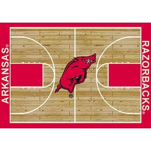 NCAA College Home Court Arkansas 3'10