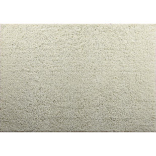 Plush Cream Rug Wayfair Aadhya Plush Cream Area Rug