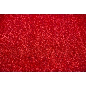 Shaggy Red Area Rug