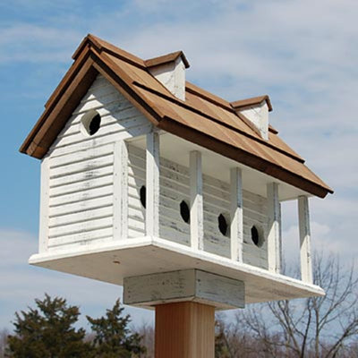 Purple Martin Bird Houses You'll Love | Wayfair