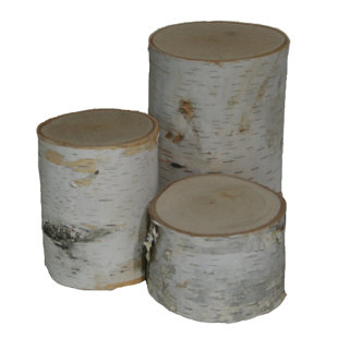 Decorative Objects Joss Main Mahle 3 Piece Decorative Birch Pillar Set