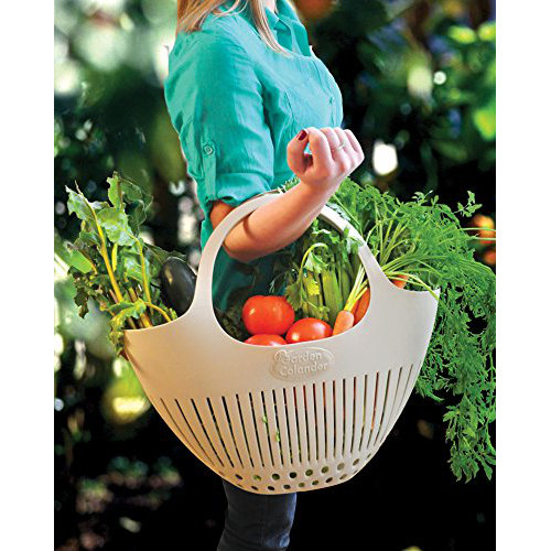 Hutzler Harvest Garden Colander Basket & Reviews Wayfair