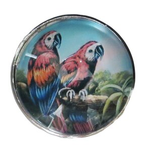 Bird Glass Mushroom Knob