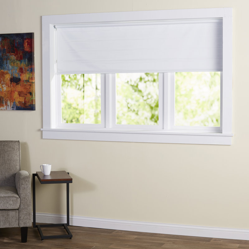 Wayfair Basics Wayfair Basics Cords Free Tear Down Window Roller Shade