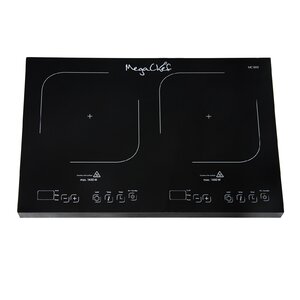 Portable Dual Induction 21