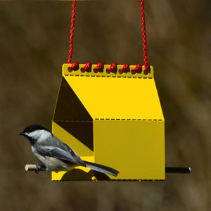 Onehundred Brdi Platform Tray Bird Feeder Wayfair