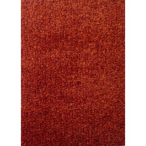 Harmony 2 Toned Orange Shag Area Rug