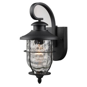 Liadan 1-Light Outdoor Wall Lantern