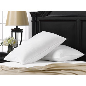 Exquisite Hotel Gel Fiber Pillow (Set of 2) by Ella Jayne Home