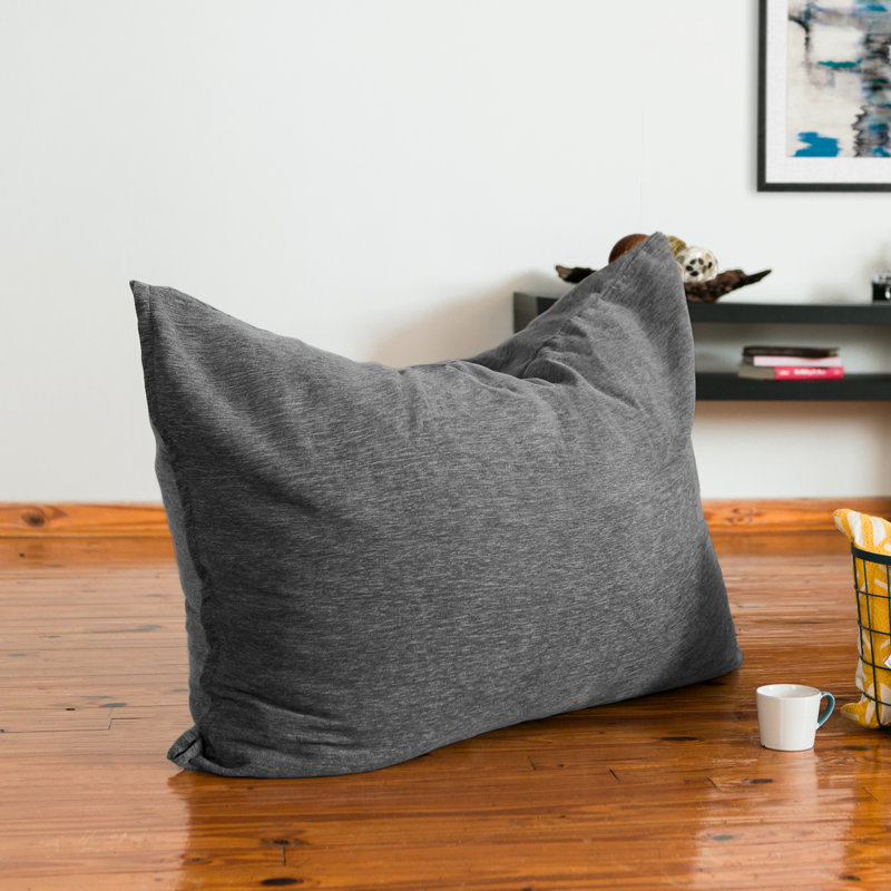 Latitude Run Floor Pillow Bean Bag Lounger Wayfair