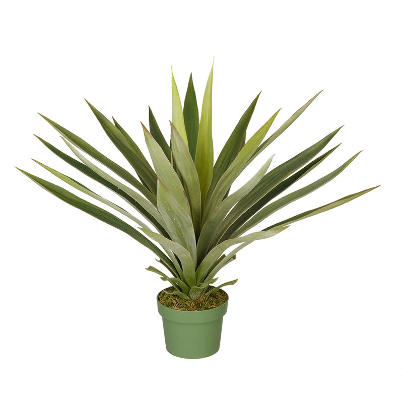 House of Silk Flowers Artificial Large Yucca Plant