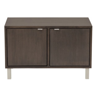Small Wall Mounted Cabinet Wayfair Southville 2 Door Storage Cabinet
