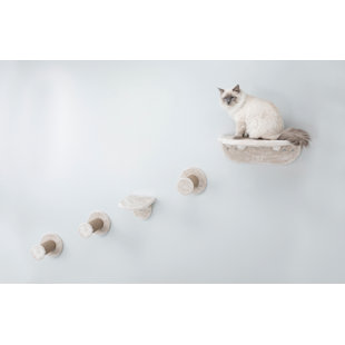 wall cat walks wayfair
