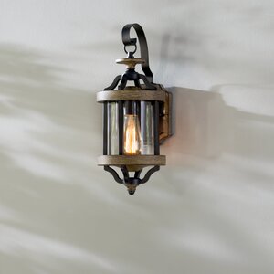 Elisabetta 1-Light Outdoor Wall Lantern