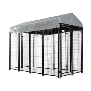 Dog Kennels You Ll Love Wayfair Outdoor Covered Dog Yard Kennel