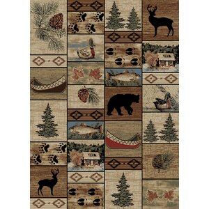 American Destinations Beige/Brown Area Rug