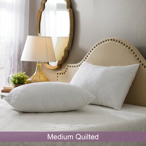 Wayfair Basics Medium Quilted Pillow (Set of 2)