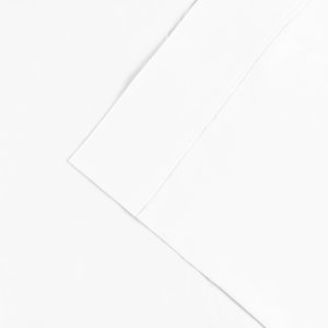 Cullen 300 Thread Count Cotton Solid Pillowcase (Set of 2)