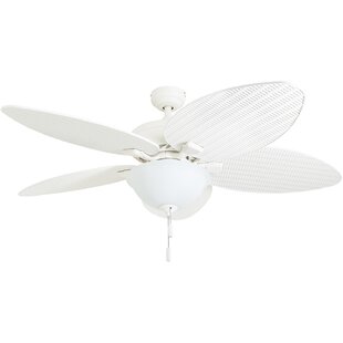 Fanimation Islander Motor Ceiling Fan Wayfair