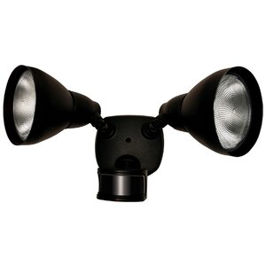 DualBrite Flood 2-Light Outdoor Spotlight