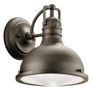 Dov 1-Light Outdoor Barn Light