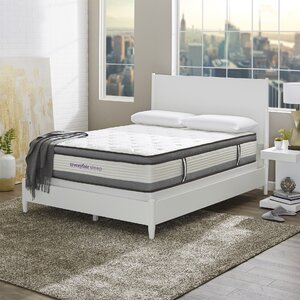 Wayfair Sleep 12