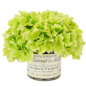 Green Hydrangea Bouquet in a French Label Pot