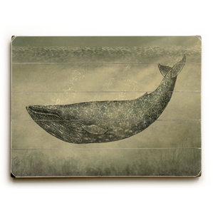 Whale Wall Art whale wall art | wayfair Whale Wall Art whale wall art | wayfair