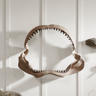 Shark Bathroom Decor Wayfair Polyresin Shark Jaw Wall Décor