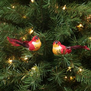 Spotted Bird Christmas Ornament (Set of 12)