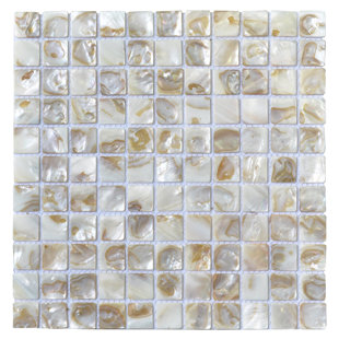 Seashell Mosaic Tile Wayfair 1 X Seashell Mosaic Tile In White Beige