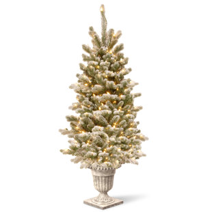 4 White Green Spruce Trees Artificial Christmas Tree With Clear Lights 4 White Green Spruce Trees Artificial Christmas Tree With Clear Lights