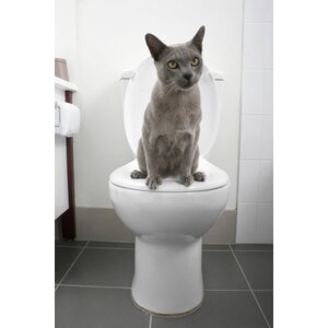 Cat Toilet Training System