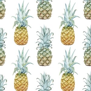 Pineapple Purist Removable 5' x 20