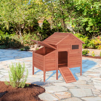 Good Ideas Chicken Coop With Nesting Box And Roosting Bar Reviews