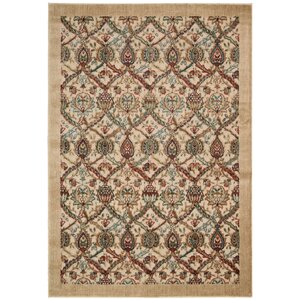 Driftwood Beige Area Rug