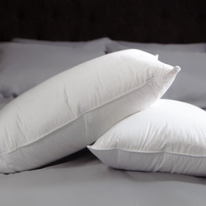 Comforel Soft Personal Choice Down Alternative Pillow (Set of 2) by Allied Home