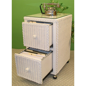 2-Drawer Mobile Vertical File