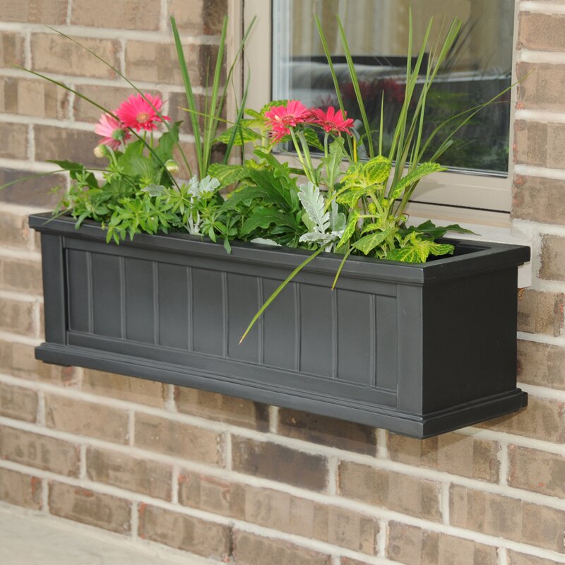 Mayne Inc. Cape Cod Self-Watering Plastic Window Box Planter & Reviews ...