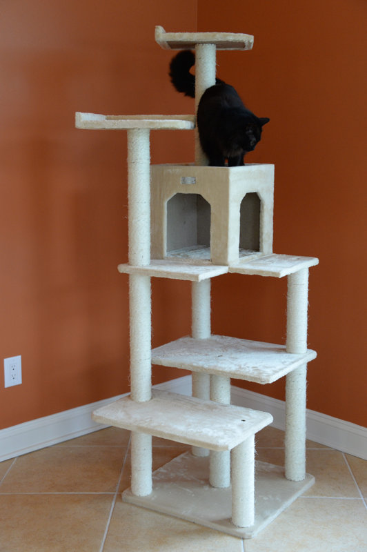 GleePet 66" Cat Tree & Reviews Wayfair