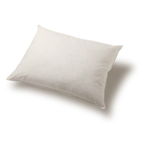 Down and Feathers Pillow by Alwyn Home