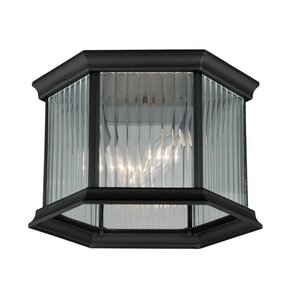 Tennyson 2-Light Outdoor Flush Mount