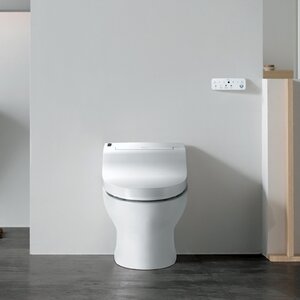 Luxury Integrated Toilet Seat 40